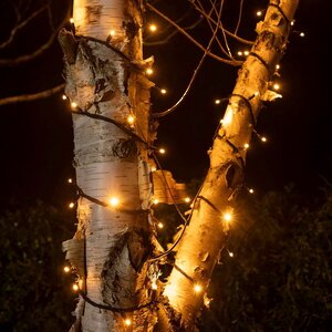 Гирлянды на дерево Клип Лайт Quality Light 30 м, 300 экстра теплых белых LED ламп, черный ПВХ, IP44 BEAUTY LED фото 1