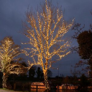 Гирлянды на дерево Клип Лайт Quality Light 100 м, 1000 экстра теплых белых LED ламп, прозрачный ПВХ, IP44 BEAUTY LED фото 1