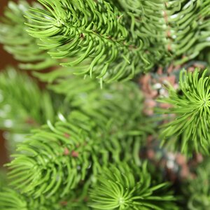 Настольная елка Dakota 60 см, ЛИТАЯ 100% Beatrees фото 3