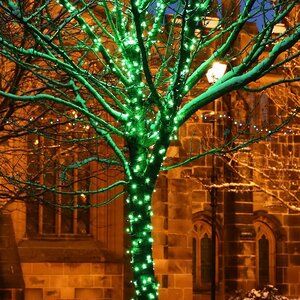 Гирлянды на дерево Клип Лайт Legoled 100 м, 750 зеленых LED, черный КАУЧУК, IP54 BEAUTY LED фото 1