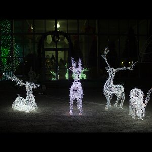 Светящиеся олени Рождественский Экипаж 90 - 190 см 4 шт GREEN TREES фото 1