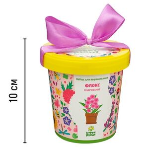 Набор для выращивания Флокс Очарование в горшке Happy Plant (Хэппи Плант) фото 5