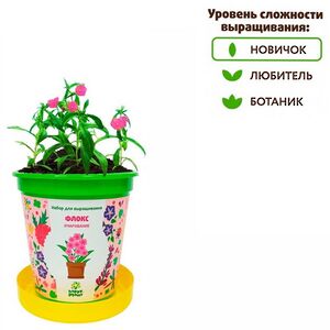 Набор для выращивания Флокс Очарование в горшке Happy Plant (Хэппи Плант) фото 2