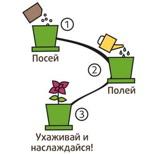Набор для выращивания Флокс Очарование в горшке Happy Plant (Хэппи Плант) фото 6