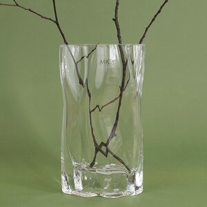 Стеклянная ваза Шенефельд 21 см Edelman фото 1