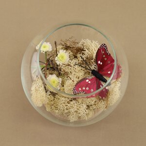 Декоративный мох светлый, 50 г Hogewoning фото 2