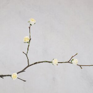 Искусственные розы для декора Lallita 10 см, 12 шт, кремовые Ideas4Seasons фото 1