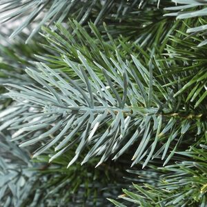 Искусственная елка на ножке Жаклин 150 см зелено-голубая, ЛИТАЯ 100% ElkaDe фото 4