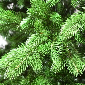 Искусственная елка Лиана 270 см, ЛИТАЯ 100% ElkaDe фото 2