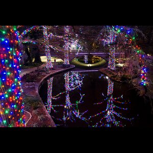 Гирлянды на дерево Клип Лайт Quality Light 60 м, 600 разноцветных LED ламп, черный ПВХ, IP44 BEAUTY LED фото 5