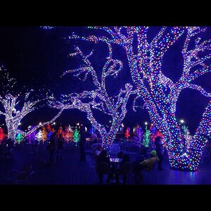 Гирлянды на дерево Клип Лайт Quality Light 60 м, 600 разноцветных LED ламп, черный ПВХ, IP44 BEAUTY LED фото 6