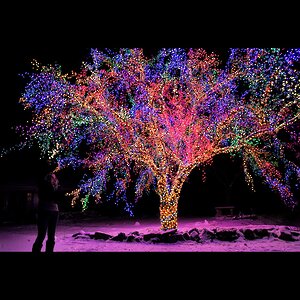 Гирлянды на дерево Клип Лайт Quality Light Эксклюзив Мультиколор 100 м, 1000 LED ламп, черный ПВХ, IP44 BEAUTY LED фото 1