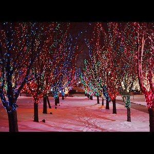 Гирлянды на дерево Клип Лайт - Спайдер 100 м, 900 разноцветных LED ламп, черный СИЛИКОН, IP54