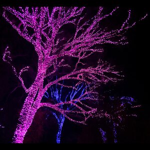 Гирлянды на дерево Клип Лайт Quality Light, розовый, черный ПВХ, IP44