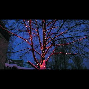 Гирлянды на деревья Клип Лайт - Спайдер 100 м, 1000 красных LED ламп, черный ПВХ, IP44 BEAUTY LED фото 2