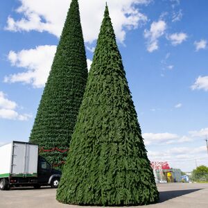 Уличная каркасная елка Русская 26 м, ПВХ GREEN TREES (Грин Трис) фото 7