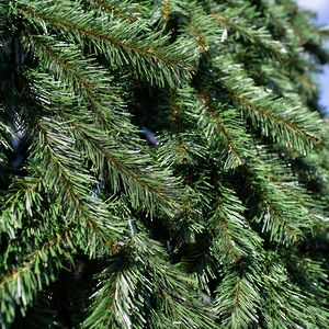 Уличная каркасная елка Русская 26 м, ПВХ GREEN TREES (Грин Трис) фото 9