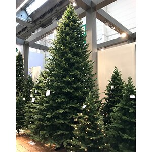 Искусственная елка с лампочками Шервуд Премиум 260 см, 440 теплых белых ламп, ЛИТАЯ + ПВХ Triumph Tree фото 3