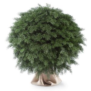 Искусственная Туя-шар 70 см, ЛИТАЯ 100% ElkaDe фото 3