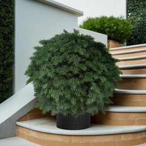 Искусственная Туя-шар 70 см, ЛИТАЯ 100% ElkaDe фото 6