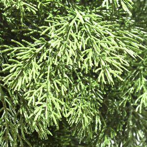 Искусственная Туя-шар 70 см, ЛИТАЯ 100% ElkaDe фото 12