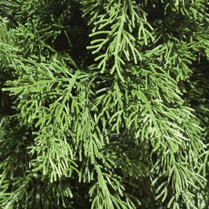 Искусственная Туя 60 см, ЛИТАЯ 100% ElkaDe фото 5