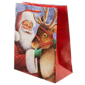 Подарочный пакет Санта с северным другом 25*20 см Due Esse Christmas фото 1