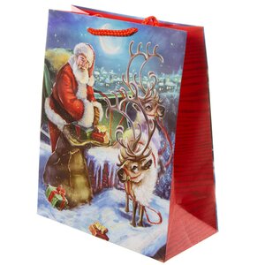 Подарочный пакет Дедушка Санта на Северном Полюсе 25*20 см Due Esse Christmas фото 1