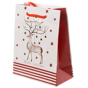 Подарочный пакет Fairy Christmas - Волшебный Олень 18*14 см Due Esse Christmas фото 1