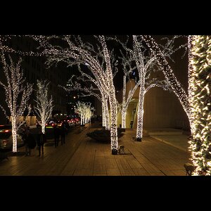 Гирлянды на дерево Клип Лайт - Спайдер 100 м, 900 шампань LED, черный СИЛИКОН, IP54 BEAUTY LED фото 1