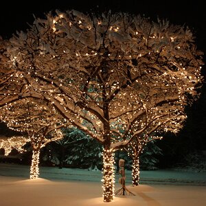 Гирлянды на дерево Клип Лайт Quality Light, теплый белый, черный ПВХ, IP44