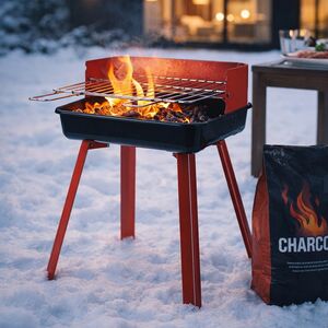 Угольный гриль Тайрон 45*36 см Koopman фото 4