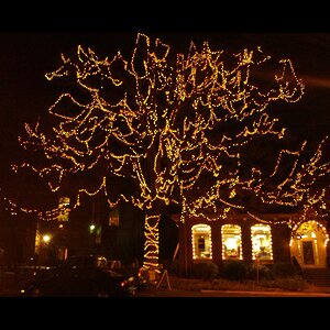 Гирлянды на дерево Клип Лайт Legoled 30 м, 300 желтых LED, мерцание, черный КАУЧУК, IP44 BEAUTY LED фото 2