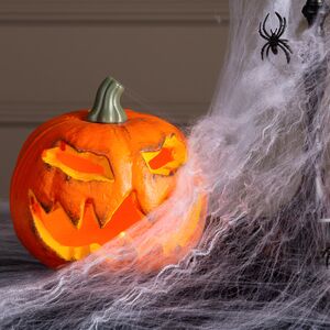 Тянущаяся Паутина на Хэллоуин + 2 паука Koopman фото 5