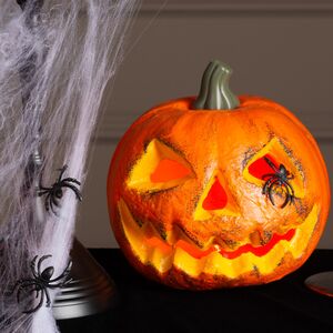 Тянущаяся Паутина на Хэллоуин + 2 паука Koopman фото 7