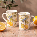 Набор чашек из фарфора Giardino di Limoni 2 шт