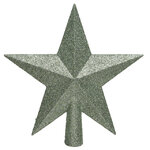 Верхушка Звезда 19 см шалфейная