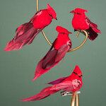 Елочная игрушка Кардинал Long Clawson 11 см, 4 шт, клипса