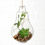 Декоративный подвесной светильник - флорариум с суккулентами Эхеверия и Шлюмбергера 12 см, IP20
