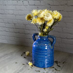 Сухоцветы для букетов Гелихризум 50 см белый