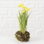 Искусственный цветок в кашпо Нарцисс Мон Шери 20 см