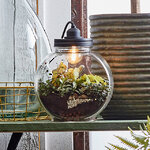 Стеклянная ваза с подсветкой для флорариума и композиций Глациус 24*14 см, IP20