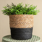 Декоративное кашпо Вениджи 18*18 см