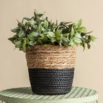 Декоративное кашпо Вениджи 16*16 см