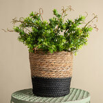 Декоративное кашпо Вениджи 14*14 см