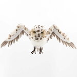 Декоративная фигура Сова Соледад - Королевство Сумерек 72 см