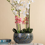 Керамическое кашпо Mossanjo Blu 33 см