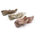 Елочная игрушка Птички Arabesque - Paradise Plume 17 см, 3 шт, клипса