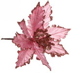 Пуансеттия Чародейка 15 см, розовая