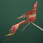 Елочная игрушка Птичка Франца II: Lyonesse Сaprice 25 см, клипса